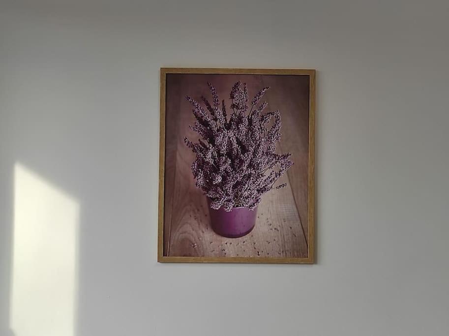 ***Santorini Apartament*** - 40M² ✓ Rybnik  Eksteriør billede