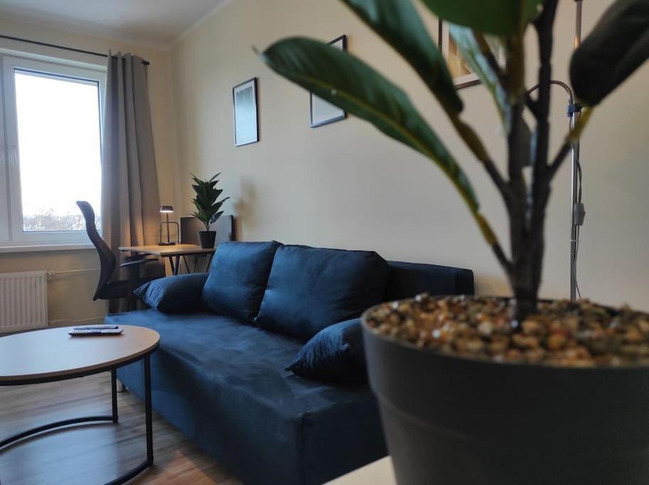 ***Santorini Apartament*** - 40M² ✓ Rybnik  Eksteriør billede
