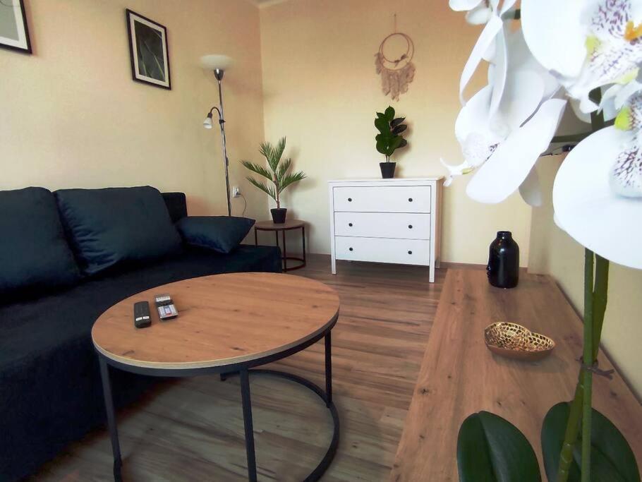 ***Santorini Apartament*** - 40M² ✓ Rybnik  Eksteriør billede