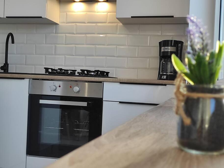 ***Santorini Apartament*** - 40M² ✓ Rybnik  Eksteriør billede
